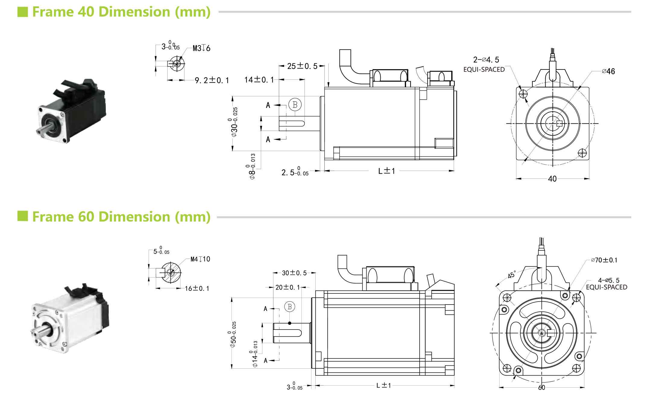 DC Servo Motor