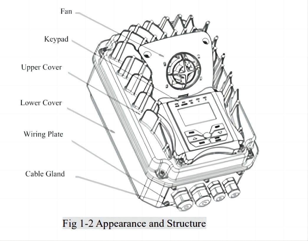 EM30 Appearance and Structure